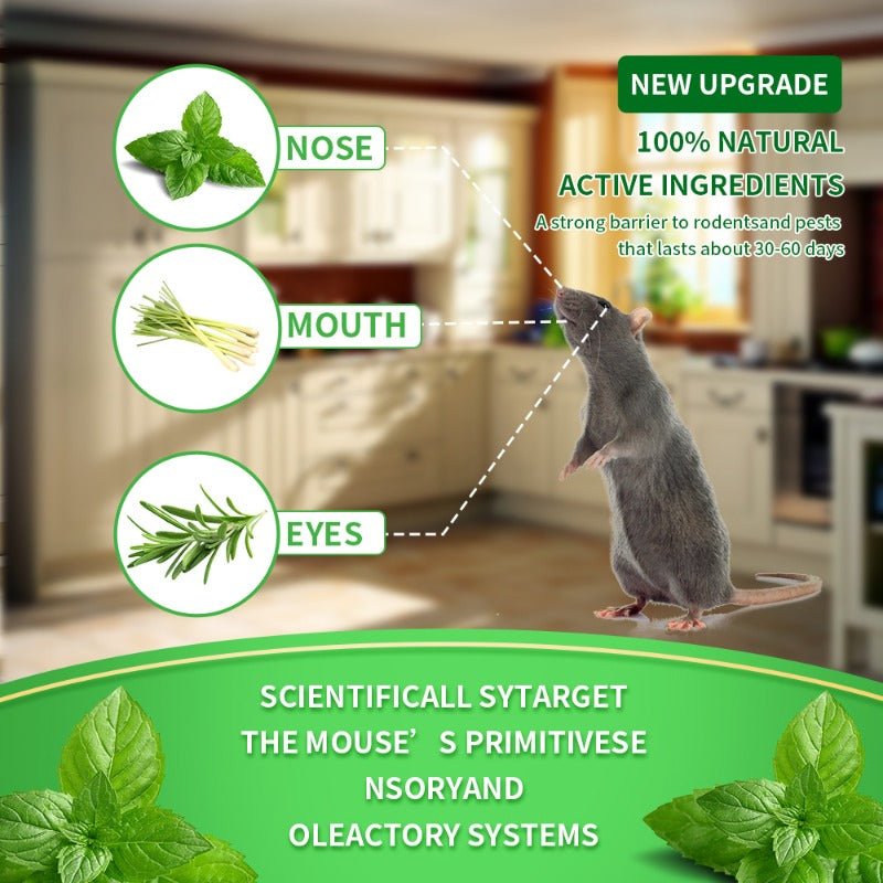 Natural Peppermint Mouse Repellent