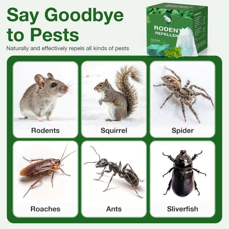 Natural Peppermint Mouse Repellent