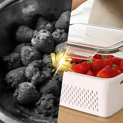 FreshKeep™ Fridge Storage Containers with Removable Colander